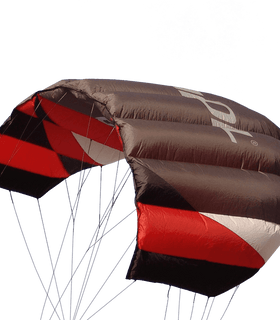 Sting 4 line Power Kite